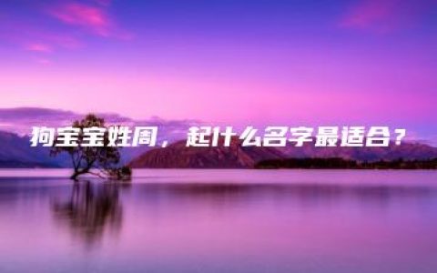 狗宝宝姓周，起什么名字最适合？