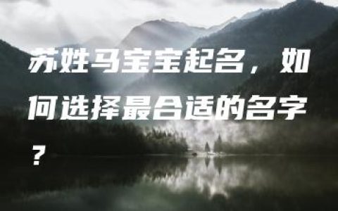 苏姓马宝宝起名，如何选择最合适的名字？