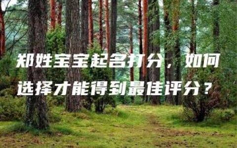 郑姓宝宝起名打分，如何选择才能得到最佳评分？