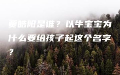 贾皓阳是谁？以牛宝宝为什么要给孩子起这个名字？