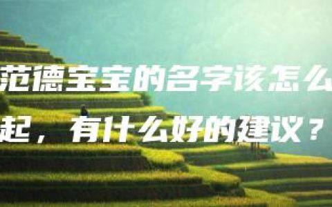 范德宝宝的名字该怎么起，有什么好的建议？