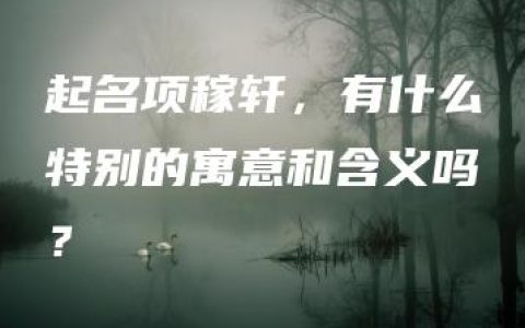 起名项稼轩，有什么特别的寓意和含义吗？