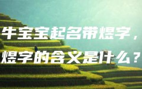 牛宝宝起名带煜字，煜字的含义是什么？