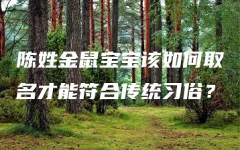 陈姓金鼠宝宝该如何取名才能符合传统习俗？