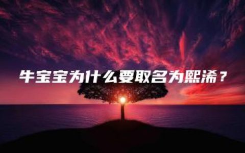 牛宝宝为什么要取名为熙浠？