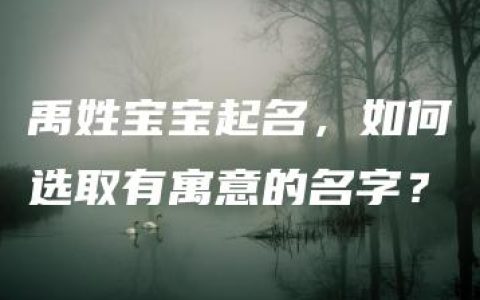 禹姓宝宝起名，如何选取有寓意的名字？