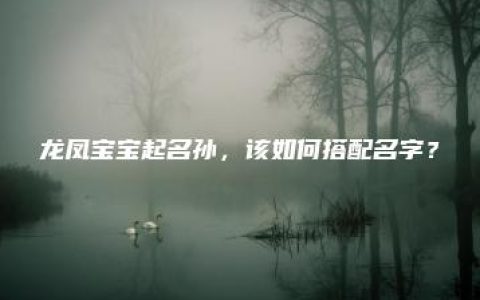 龙凤宝宝起名孙，该如何搭配名字？