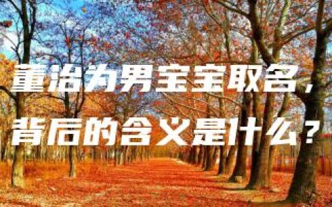 董治为男宝宝取名，背后的含义是什么？