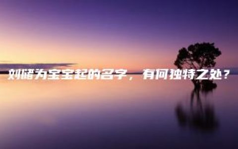 刘储为宝宝起的名字，有何独特之处？