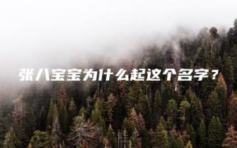 张八宝宝为什么起这个名字？