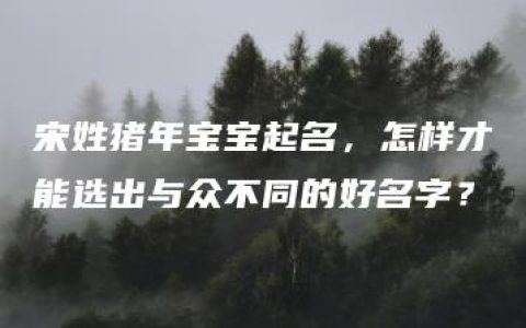 宋姓猪年宝宝起名，怎样才能选出与众不同的好名字？