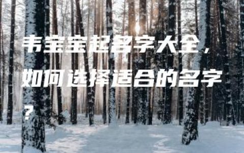 韦宝宝起名字大全，如何选择适合的名字？