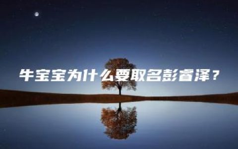 牛宝宝为什么要取名彭睿泽？