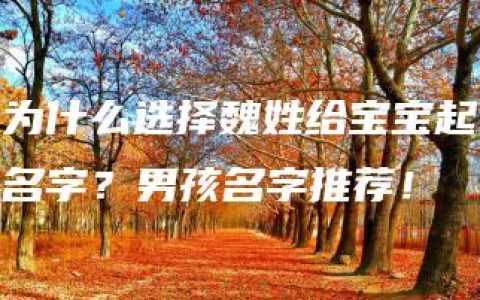 为什么选择魏姓给宝宝起名字？男孩名字推荐！