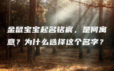 金鼠宝宝起名铭宸，是何寓意？为什么选择这个名字？