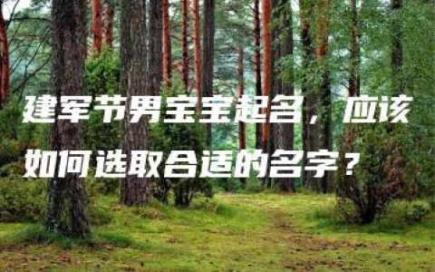 建军节男宝宝起名，应该如何选取合适的名字？