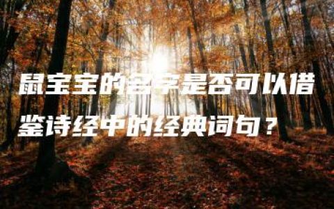 鼠宝宝的名字是否可以借鉴诗经中的经典词句？