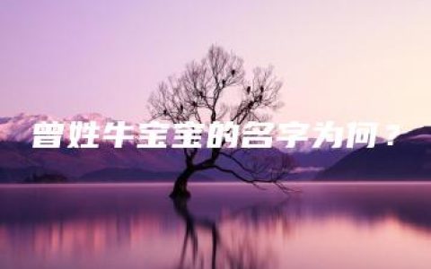 曾姓牛宝宝的名字为何？