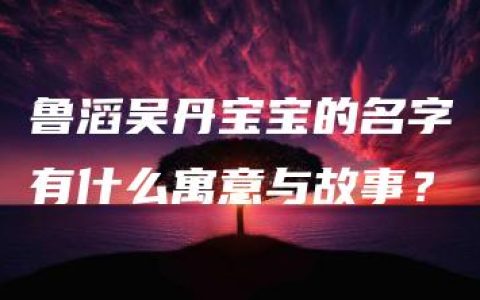 鲁滔吴丹宝宝的名字有什么寓意与故事？