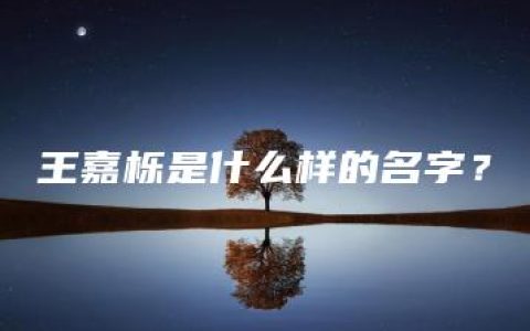 王嘉栎是什么样的名字？