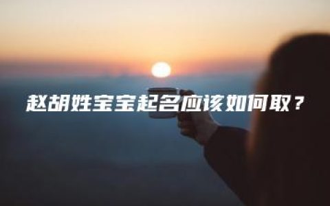 赵胡姓宝宝起名应该如何取？