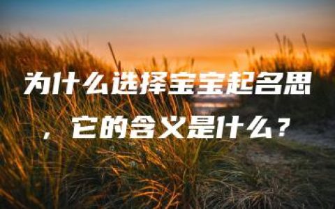 为什么选择宝宝起名思玥，它的含义是什么？