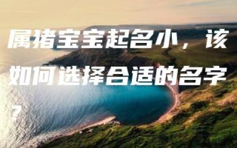 属猪宝宝起名小，该如何选择合适的名字？