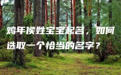 鸡年侯姓宝宝起名，如何选取一个恰当的名字？