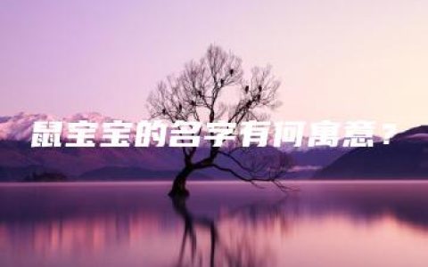 鼠宝宝的名字有何寓意？