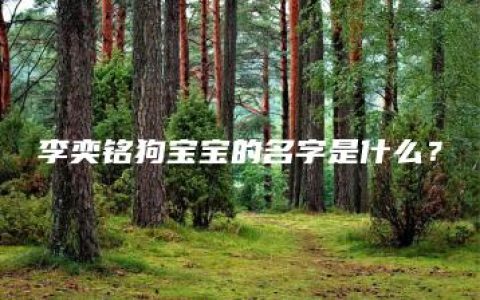 李奕铭狗宝宝的名字是什么？