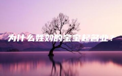 为什么姓刘的宝宝起名业？