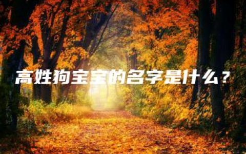 高姓狗宝宝的名字是什么？