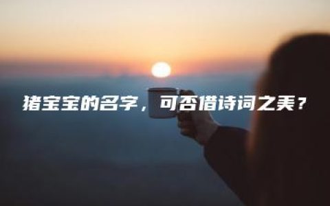 猪宝宝的名字，可否借诗词之美？