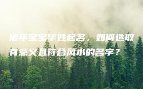 猪年宝宝毕姓起名，如何选取有意义且符合风水的名字？