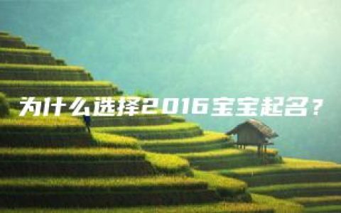 为什么选择2016宝宝起名？