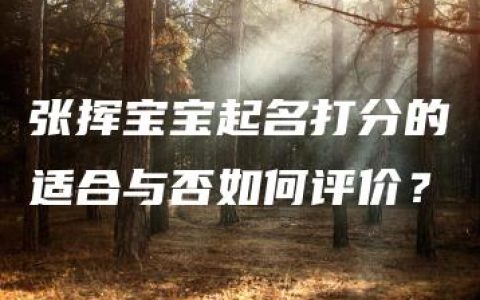 张挥宝宝起名打分的适合与否如何评价？