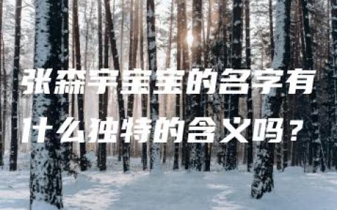 张森宇宝宝的名字有什么独特的含义吗？