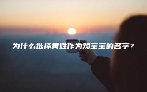 为什么选择黄姓作为鸡宝宝的名字？