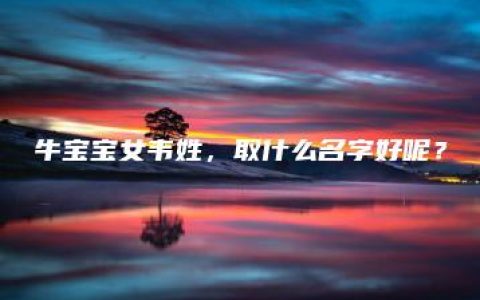 牛宝宝女韦姓，取什么名字好呢？