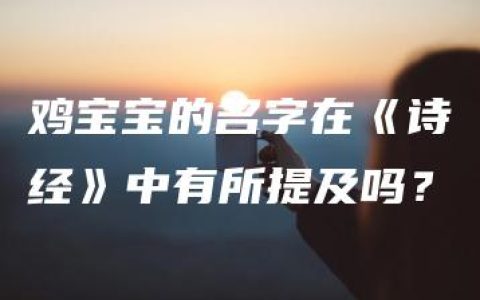 鸡宝宝的名字在《诗经》中有所提及吗？