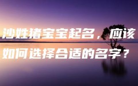 沙姓猪宝宝起名，应该如何选择合适的名字？