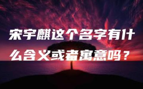 宋宇麒这个名字有什么含义或者寓意吗？