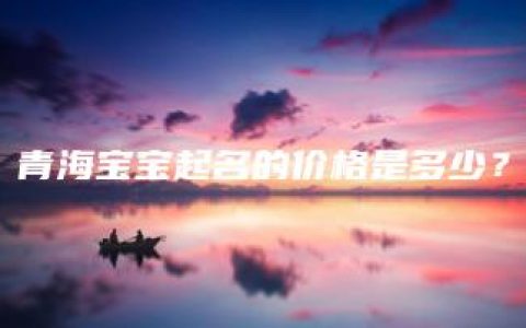 青海宝宝起名的价格是多少？