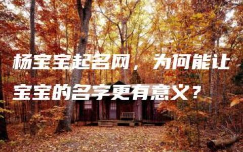 杨宝宝起名网，为何能让宝宝的名字更有意义？