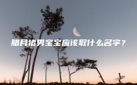 腊月猪男宝宝应该取什么名字？