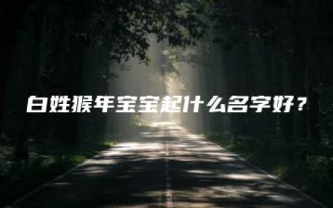 白姓猴年宝宝起什么名字好？