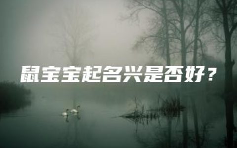 鼠宝宝起名兴是否好？