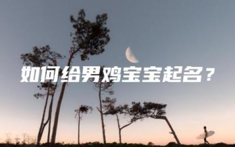 如何给男鸡宝宝起名？