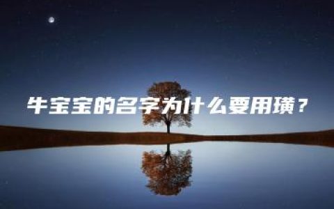 牛宝宝的名字为什么要用璜？