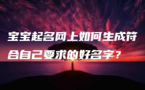 宝宝起名网上如何生成符合自己要求的好名字？